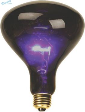 Picture for category LIGHTING BULBS COLORED