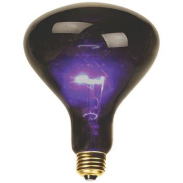 Model: BL100 Product Image BL100 Model product image