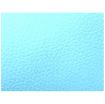 VINYLLIGHTBLUE Model product image