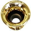 TBH2INHORNGOLD__2 Model product image