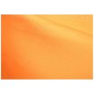 VINYLORANGE__2 Model product image