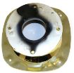TBH2INSHORTBKGOL__6 Model product image